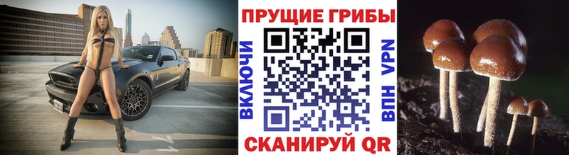 Галлюциногенные грибы мухоморы  Георгиевск 